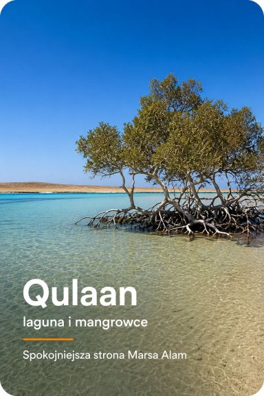 Qulaan Marsa Alam