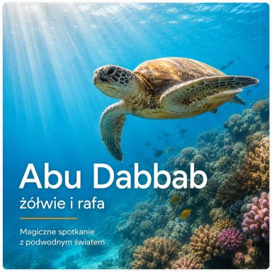 Abu Dabbab żółwie Marsa Alam