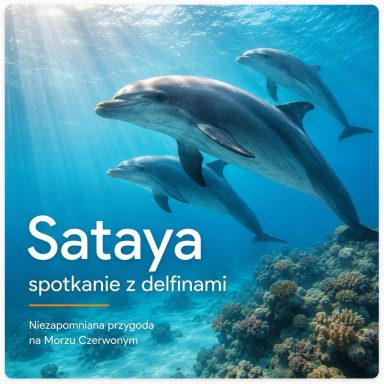 Delfiny Sataya Marsa Alam